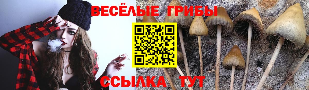 Галлюциногенные грибы Magic Shrooms  Вход с VPN  Саранск 